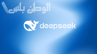 DeepSeek