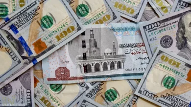 سعر الدولار اليوم مقابل الجنيه المصري