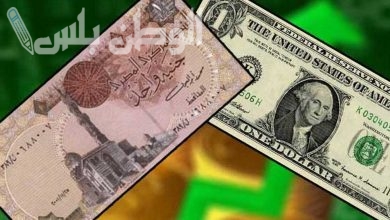 كم سعر الدولار أمام الجنيه المصري