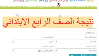 نتائج الصف الرابع الابتدائي