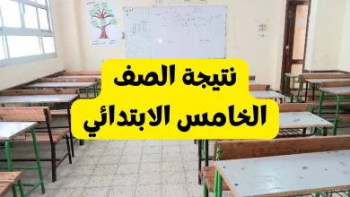 نتيجة الصف الخامس الابتدائي