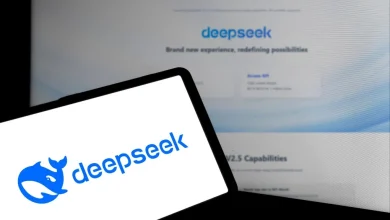 DeepSeek