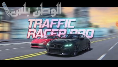 Racer Pro Online Apk