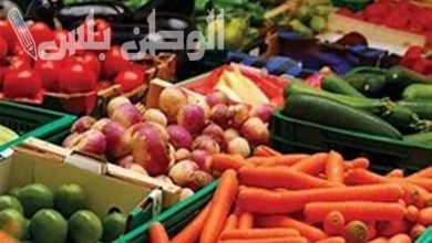 أسعار الخضروات اليوم في الأسواق