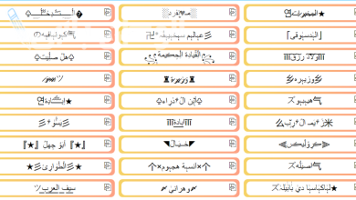 أسماء ببجي فخمة ومزخرفة