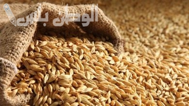 اسعار الارز الشعير في مصر