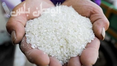 الأرز الشعير يسجل ارتفاعًا جديدً