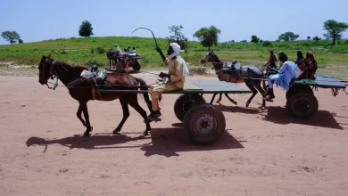 الأمم المتحدة تحذر من أزمة إنسانية غير مسبوقة في السودان