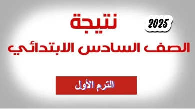 الإعلان عن نتائج الصف السادس الابتدائي 2025 قريباً