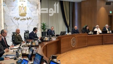 الحكومة المصرية تصدر قرارات... تسهيل الاستيراد والتصدير وتقليل التكدس من المواني وغيرها