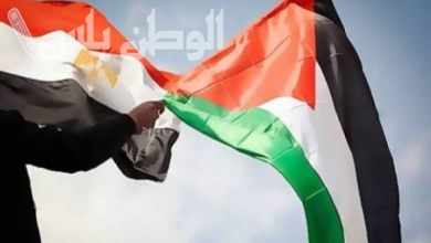 الموقف المصري من القضية الفلسطينية