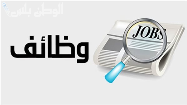 بوابة الوظائف الحكومية تفتح باب التوظيف بشروط بسيطة في تخصصات عدة