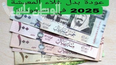 تفاصيل علاوة غلاء المعيشة 2025