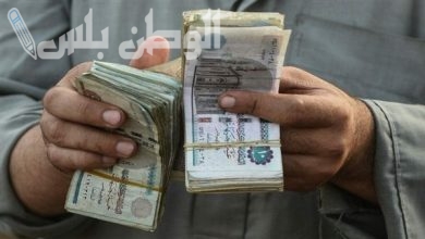 حقيقة زيادة الرواتب في مصر