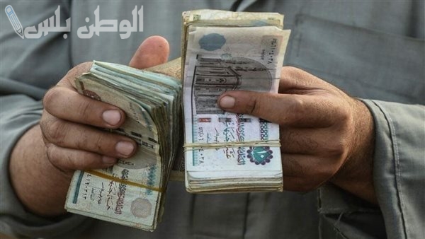 حقيقة زيادة الرواتب في مصر