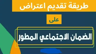 دعم الضمان الاجتماعي المطور