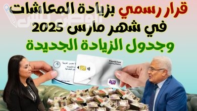 زيادة المعاشات في مارس