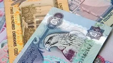 سعر الدرهم الإماراتي أمام الجنيه المصري