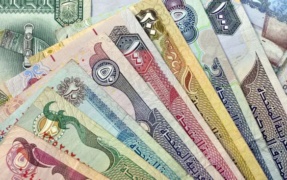 سعر الدرهم الإماراتي أمام الجنيه