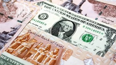 سعر الدولار أمام الجنيه اليوم