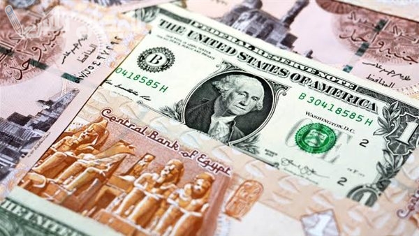 سعر الدولار أمام الجنيه اليوم