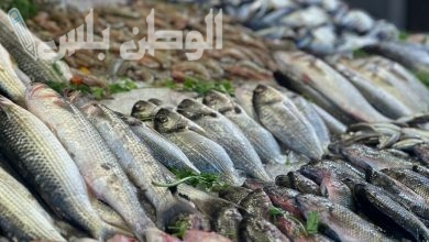 سعر  السمك والجمبري والمأكولات البحرية