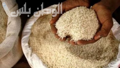 سعر طن الأرز الشعير