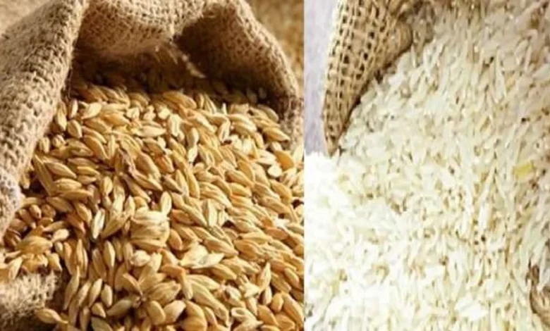 سعر طن الأرز الشعير