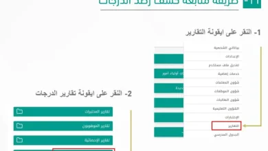 طريقة رصد الدرجات عبر نظام نور