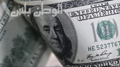 كم سعر الأخضر اليوم الأحد 9 فبراير أمام الجنيه المصري في البنوك والسوق الموازية