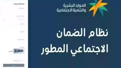 كم سيكون الحد الأدنى لمعاش الضمان الاجتماعي المطور