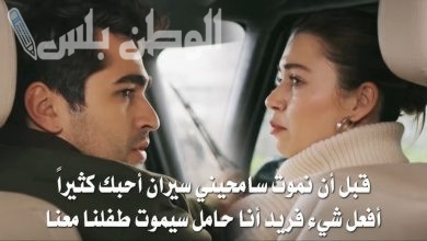 مسلسل طائر الرفراف