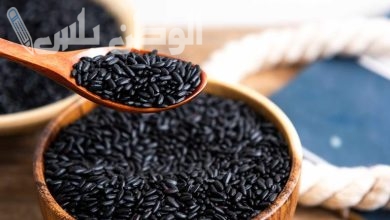 مصر تحظر زراعة الأرز الأسود