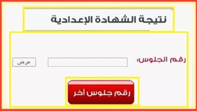 نتيجة الشهادة الإعدادية محافظة الدقهلية