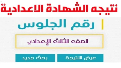 نتيجة الصف الثالث الاعدادي بالاسم ورقم الجلوس فقط لطلاب محافظة القاهرة