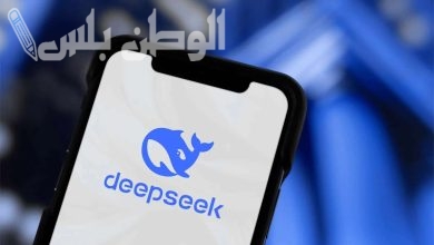 هاس يربط بين حظر DeepSeek وأحداث TikTok