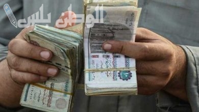 وزارة المالية تكشف تفاصيل صرف مرتبات فبراير