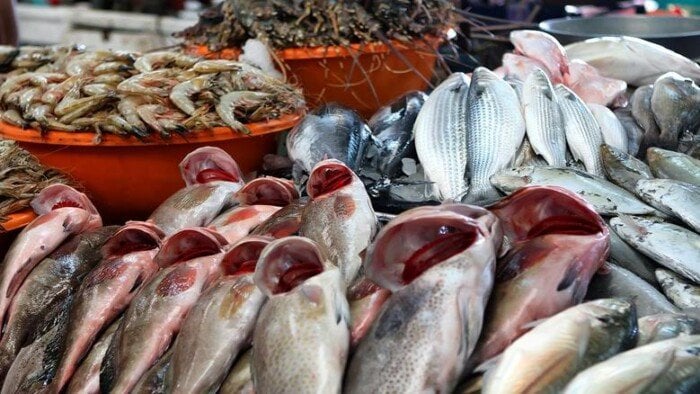 مكرونة سويسي بـ 135 جنيها.. أسعار الأسماك والجمبري اليوم الأحد 26 أكتوبر 2025