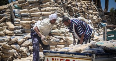 سعر الأسمنت اليوم الثلاثاء 28-10-2025 استمرار استقرار الأسعار