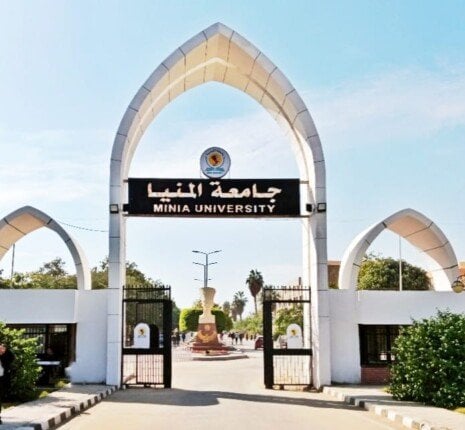 المنيا تتألق في تصنيف ليدن 2025 وتدخل ضمن 15 جامعة تصنيف ليدن 2025.. المنيا تتألق بحثيًا وتُدرج ضمن 15 جامعة مصرية في النسخة التقليدية