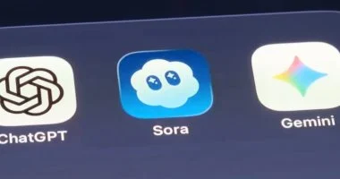 تحديث قادم على Sora يمكنك من إنشاء مقاطع فيديو لحيوانك الأليف