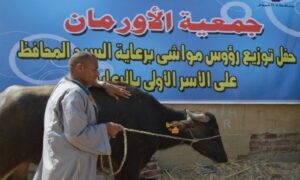 تسليم 9425 رأس ماشية للأسر الأولى بالفيوم