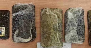 ضبط عنصرين إجراميين بحوزتهما 50 طربة حشيش بمركز المحلة في الغربية