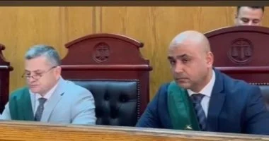 المشدد 10 سنوات لـ3 متهمين استولوا على عمارتين بالمنيل بعقود مزورة