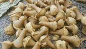 «آيس كريم الصعايدة».. الجلاب التراثي يحافظ على بريقه الذهبي في قنا