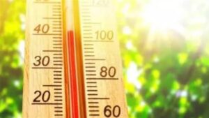 شبورة وأمطار وحرارة.. الأرصاد تكشف عن حالة الطقس غدا الأحد