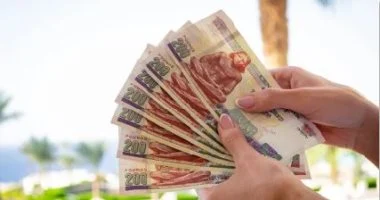 تعرف على أسباب تثبيت البنك المركزى لأسعار الفائدة