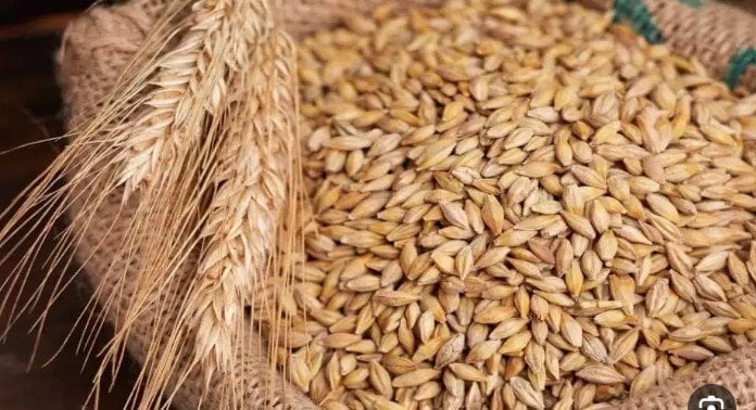 عريض ورفيع الحبة بكام؟.. سعر طن الأرز الشعير اليوم الأحد 2 نوفمبر 2025