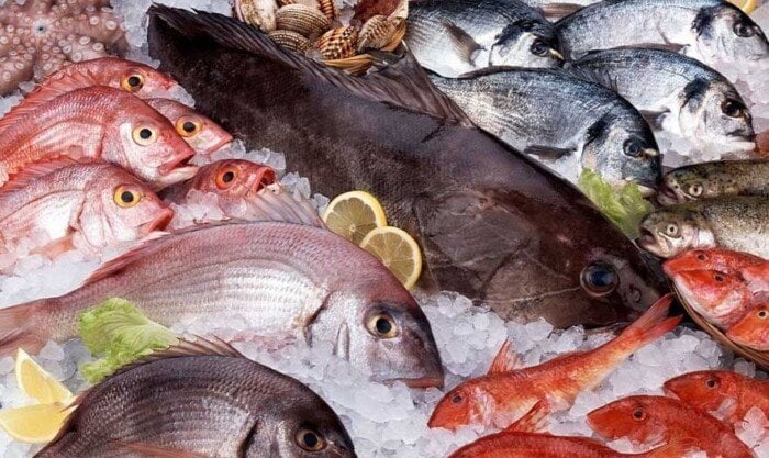 أسعار الأسماك في مصر اليوم الخميس 13 نوفمبر 2025