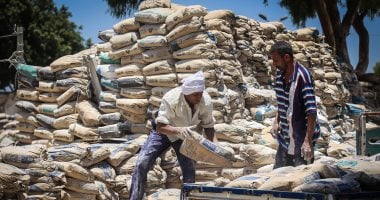 ثبات الاسعار سعر الأسمنت اليوم السبت 22 -11-2025